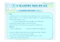 청소년 문제 보고서-9