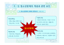 청소년 문제 보고서-10