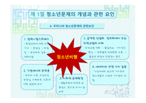 청소년 문제 보고서-11