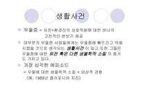 기분장애 리포트-4