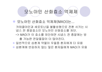 기분장애 리포트-11