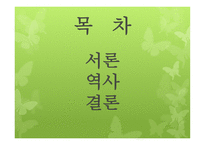 실천신학 서론 및 역사-3