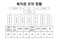 자원봉사실습 결과보고서 서울시립 지적장애인복지관-6