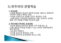 행동주의 이론 파블로프 왓슨 스키너 반두라-19
