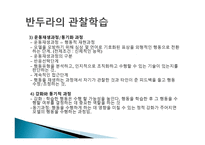 행동주의 이론 파블로프 왓슨 스키너 반두라-20