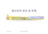 청소년의 성과성문제-1