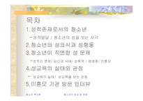 청소년의 성과성문제-2