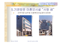 청소년의 성과성문제-13