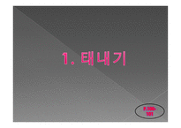 인간 행동과 사회 환경 아동기 발달과 사회복지-3