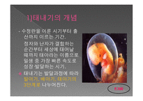 인간 행동과 사회 환경 아동기 발달과 사회복지-4