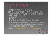인간 행동과 사회 환경 아동기 발달과 사회복지-5