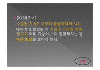인간 행동과 사회 환경 아동기 발달과 사회복지-6