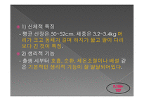 인간 행동과 사회 환경 아동기 발달과 사회복지-16