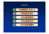아우렐리우스 어거스틴-2