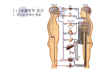인간의 생물심리사회문화 영적 이해 인간의 생물심리사회문화 영적 이해-11