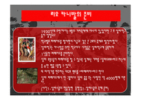 지구 최대의 삼바축제 브라질 리우 카니발-8
