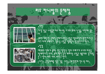 지구 최대의 삼바축제 브라질 리우 카니발-13