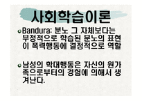 가정폭력 요약 레포트-13