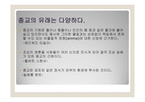 종교의 다원성과 종교분쟁-3