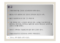 종교의 다원성과 종교분쟁-11