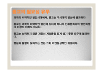 종교의 다원성과 종교분쟁-17