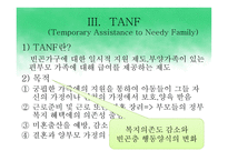 미국의 아동복지정책 AFDCTANF-6