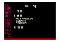 라틴아메리카 민주화 과정에서의 인권탄압-2