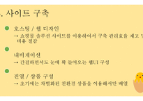 사업계획서 벤처창업환경 유아용품 판매 사업계획서-12