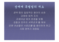 성매매 특별법에 대한 논란과 대안 모색-6