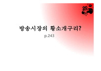 종합편성 채널과 미디어법 문화미디어-2