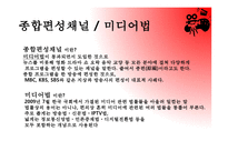 종합편성 채널과 미디어법 문화미디어-3