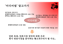종합편성 채널과 미디어법 문화미디어-4