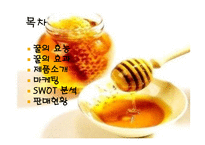 사업계획서 꿀 레포트-2