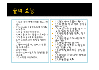 사업계획서 꿀 레포트-3
