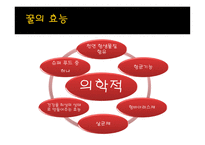 사업계획서 꿀 레포트-4
