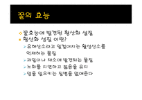 사업계획서 꿀 레포트-5