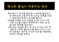 사업계획서 꿀 레포트-7