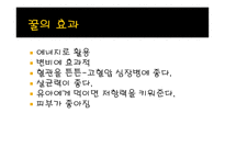 사업계획서 꿀 레포트-8