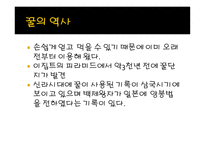 사업계획서 꿀 레포트-10