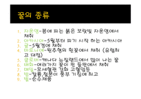 사업계획서 꿀 레포트-11