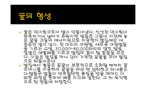 사업계획서 꿀 레포트-12