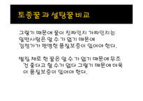 사업계획서 꿀 레포트-14