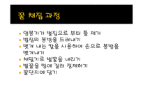 사업계획서 꿀 레포트-15