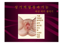 안전하게 지키는 성생활 결혼과 성의 심리학-3