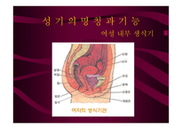 안전하게 지키는 성생활 결혼과 성의 심리학-4