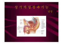 안전하게 지키는 성생활 결혼과 성의 심리학-5