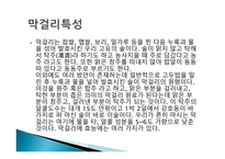 막걸리 사업계획서-6
