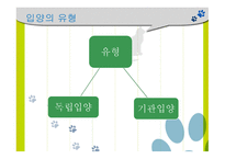 가정위탁 및 입양 서비스2-20