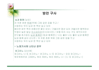 대중가요 속의 언어 대중가요 속의 언어-13