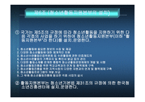청소년활동 진흥법-11